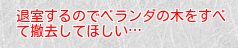 退室するのでベランダの木をすべて撤去してほしい…