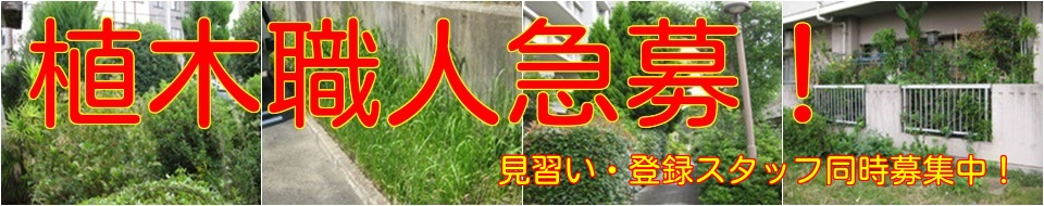 植木職人急募！